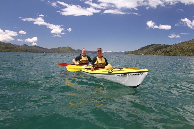 Half day Sea Kayak Guided Tour from Picton - FAQs