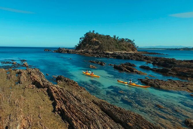 Half Day Sea Kayak Tour from Batemans Bay with Morning Tea and Snorkeling - Introduction