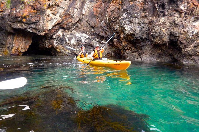 Half Day Sea Kayak Tour from Batemans Bay with Morning Tea and Snorkeling - Practicalities and Considerations