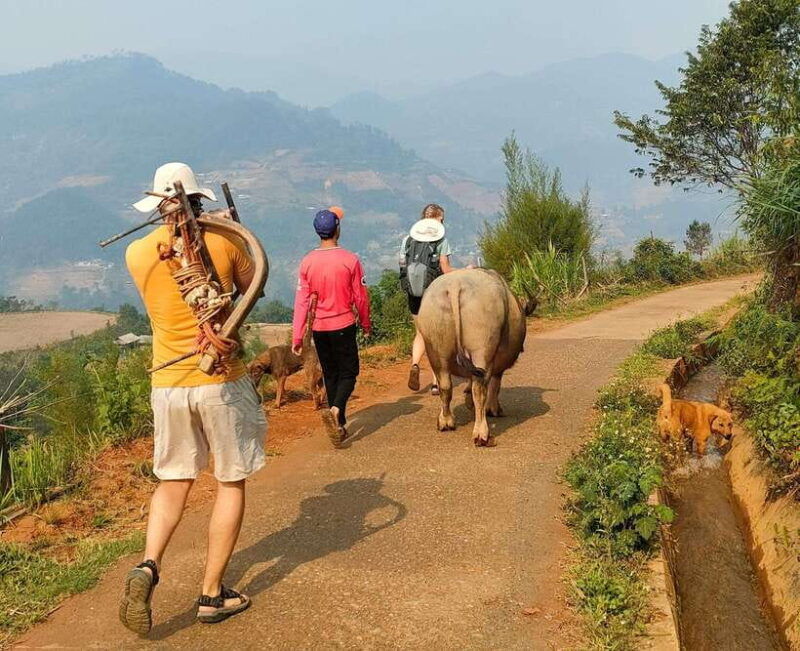 half-day-seasonal-job-experience-private-tour-mu-cang-chai