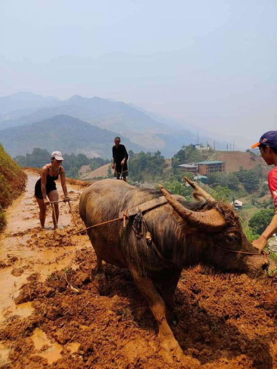 half-day-seasonal-job-experience-private-tour-mu-cang-chai