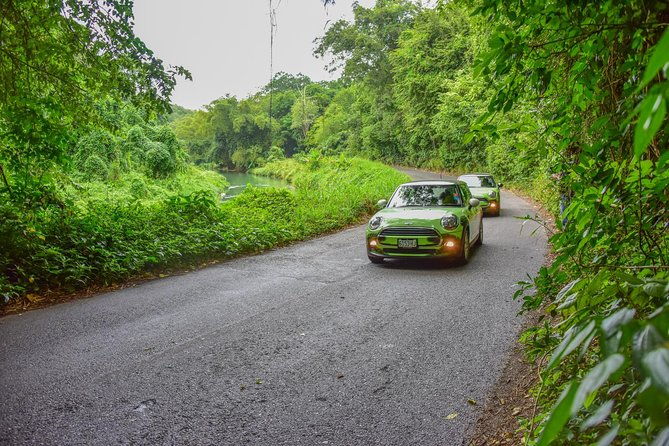 half-day-self-driven-mini-cooper-tour-from-montego-bay