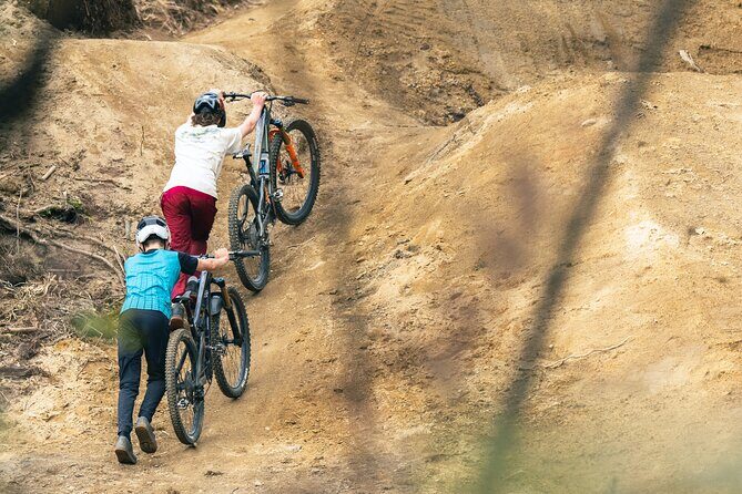 Half-Day Self-Guided Mountain Bike Journey through Whakarewarewa Redwood Forest - Introduction to Whakarewarewa Redwood Forest