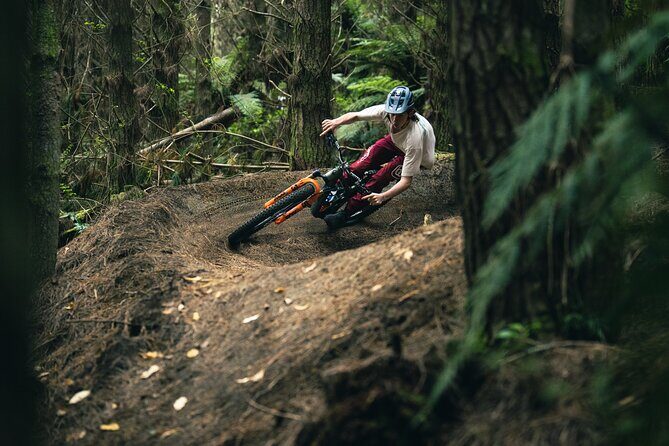 Half-Day Self-Guided Mountain Bike Journey through Whakarewarewa Redwood Forest - What’s Included and What To Bring