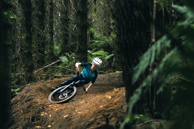 Half-Day Self-Guided Mountain Bike Journey through Whakarewarewa Redwood Forest - Practical Details: Timing, Meeting Points, and Tips