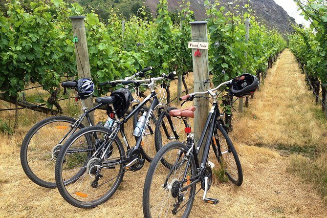 Half-Day Self-Guided Ride and Wine Bike Tour from Arrowtown - Introduction