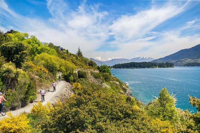 Half-Day Self-Guided Ride and Wine Bike Tour from Arrowtown - Who Should Consider This Tour?
