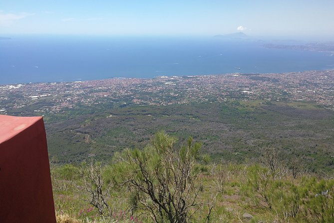 half-day-shore-excursion-to-mount-vesuvius-2-hours