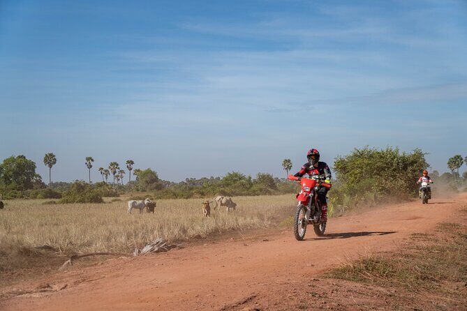 Half Day Siem Reap Off-Road Ride Tour - Practical Details & Considerations  