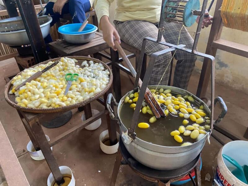 Half-day: Silk Farm, Senteurs Angkor & Satcha Craftsmanships - Who Should Choose This Tour?