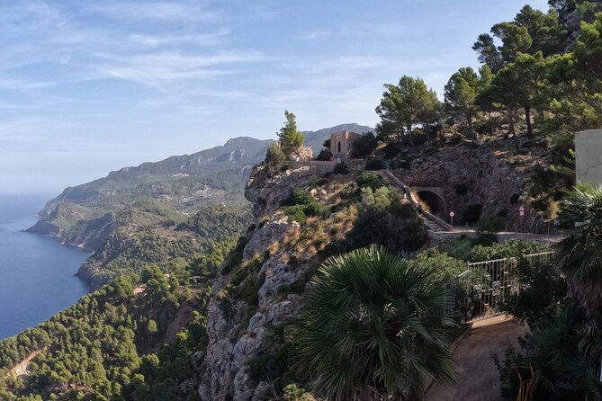 half-day-slingshot-tour-from-paguera-2