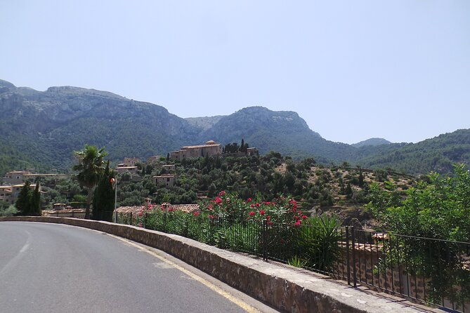 half-day-slingshot-tour-from-paguera-2