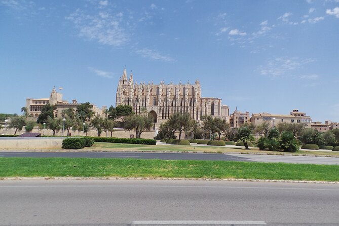 half-day-slingshot-tour-from-paguera-2