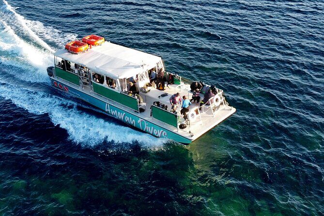 Half-Day Small-Group 2-Tank Scuba Dive in Key Largo (CERTIFIED DIVERS ONLY) - The Sum Up: Is This Tour Right for You?