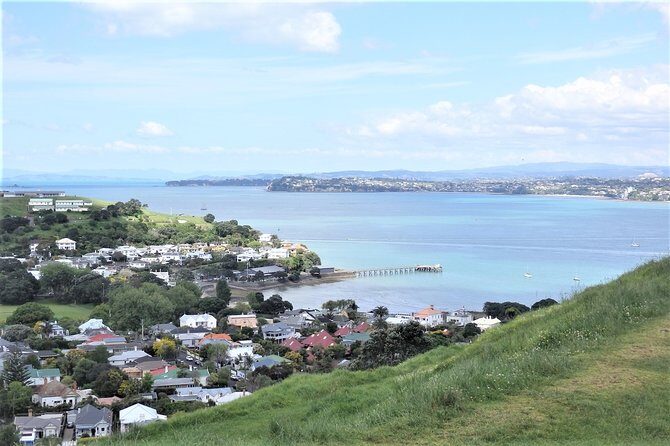 Half-Day: Small Group Auckland Scenic Tour - 4 HOURS - FAQs