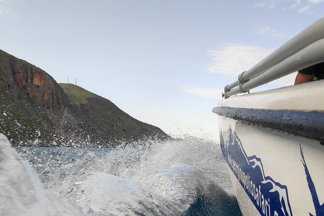 half-day-small-group-boat-safari-in-crete