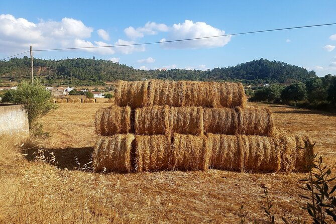 half-day-small-group-e-bike-tour-of-rural-algarve-with-lunch