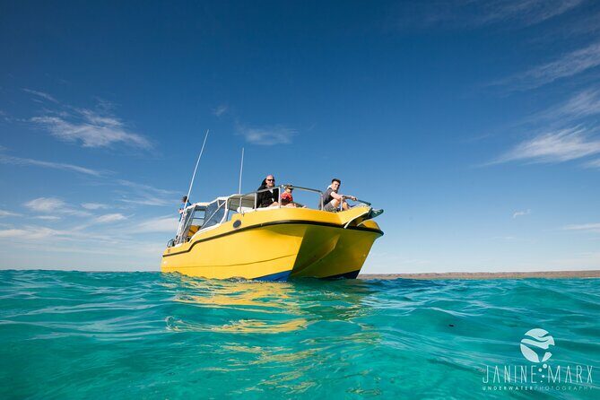 Half Day Snorkel 2.5hr Turtle Tour on the Ningaloo Reef, Exmouth - Detailed Breakdown of the Itinerary
