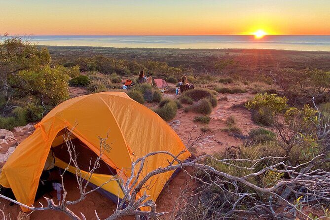 Half Day Snorkel 2.5hr Turtle Tour on the Ningaloo Reef, Exmouth - Price, Value, and Practical Tips