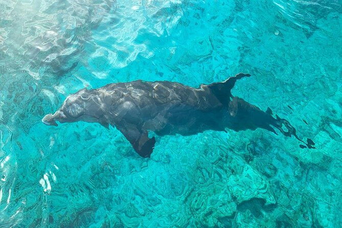 half-day-snorkeling-sightseeing-island-hopping-private-charter-afternoon