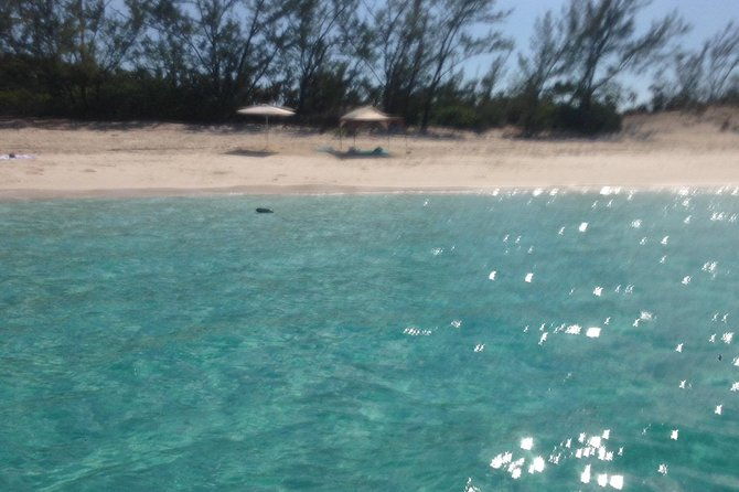 half-day-snorkeling-tour-in-the-bahamas