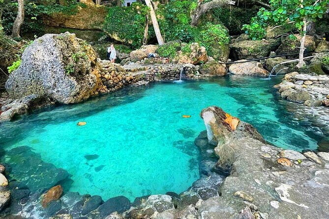 Half Day Snorkeling with Manta Ray Nusa Penida - Key Points