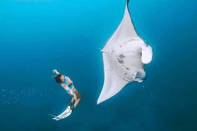 Half Day Snorkeling with Manta Ray Nusa Penida - FAQ