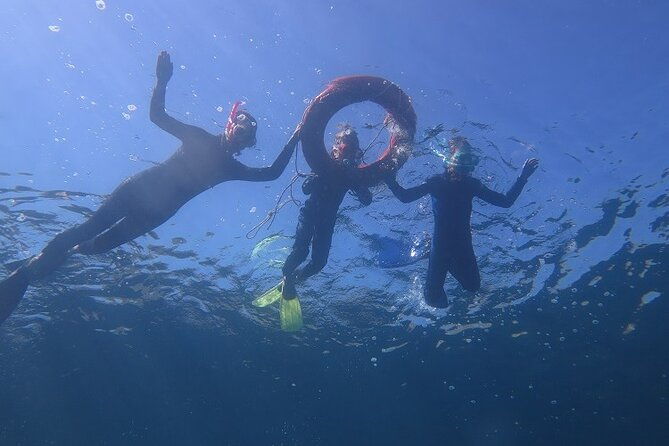 half-day-snorkelling-experience-with-a-dive-boat-in-kos-greece