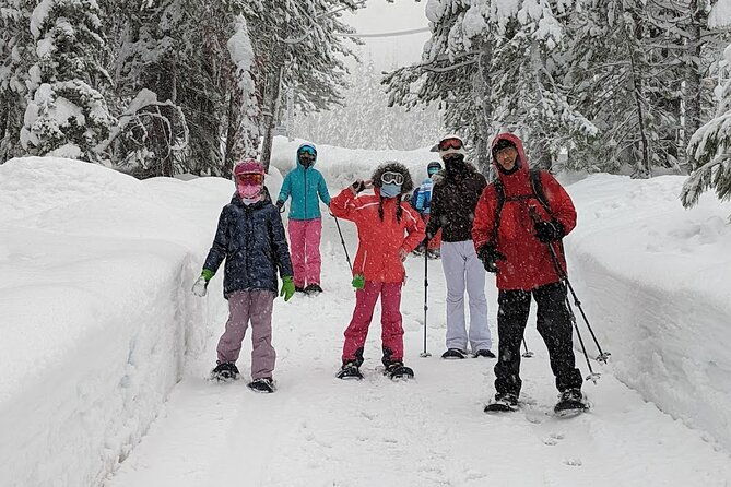 half-day-snowshoe-hike-in-tahoe-national-forest