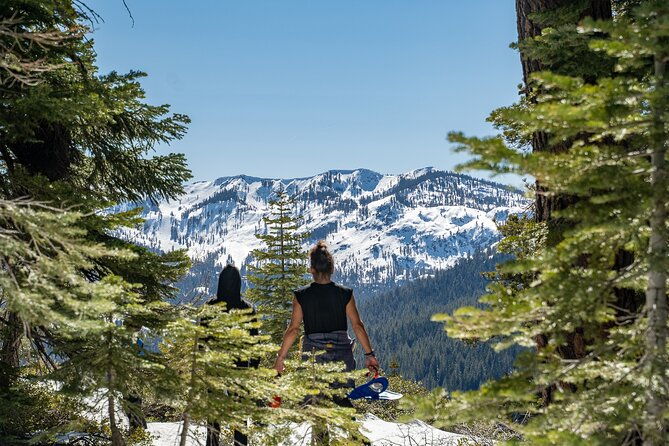 half-day-snowshoe-hike-in-tahoe-national-forest