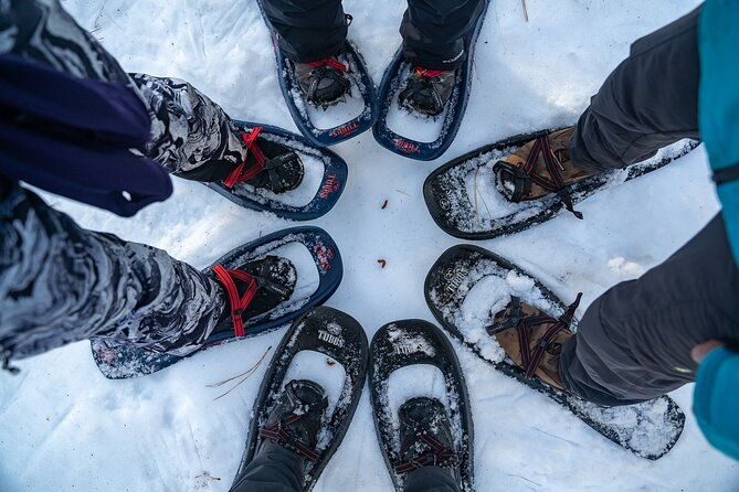 half-day-snowshoe-hike-in-tahoe-national-forest