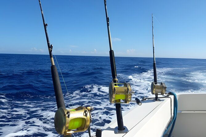 half-day-sport-fishing-excursion-departing-from-sosua