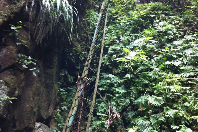half-day-st-kitts-rainforest-hike