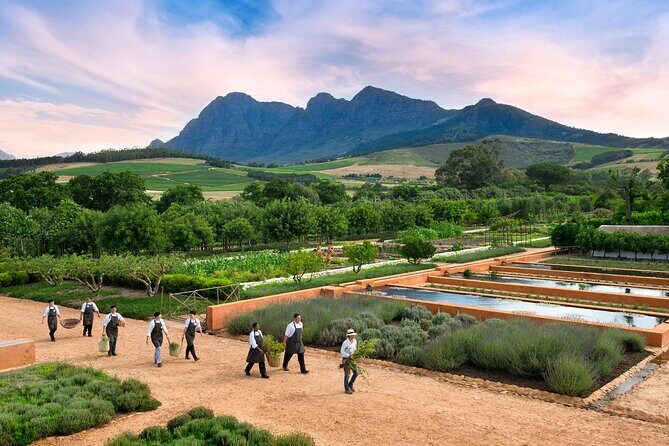 Half Day Stellenbosch Winelands Private Tour from Cape Town - Practical Details to Keep in Mind