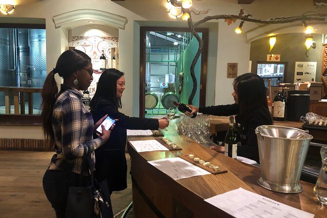 Half Day Stellenbosch Winelands Private Tour from Cape Town - Final Thoughts