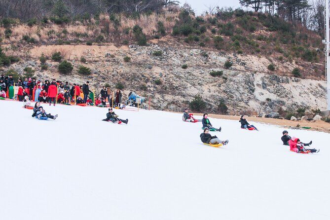 Half Day Strawberry & Snow Sled Tour in Eobi Seoul - What We Love About This Tour