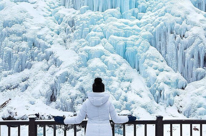 Half Day Strawberry & Snow Sled Tour in Eobi Seoul - Final Thoughts