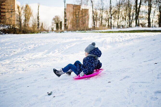 Half Day Strawberry & Snow Sled Tour in Eobi Seoul - Frequently Asked Questions