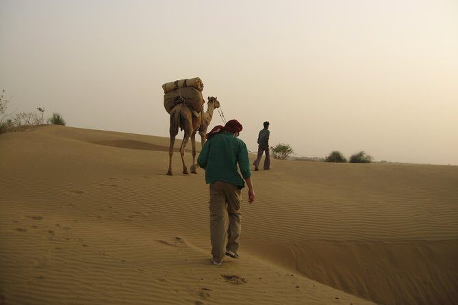 Half-Day Sunset tour with cultural program - Discovering the Jaisalmer Sunset Tour: An Authentic Desert Experience