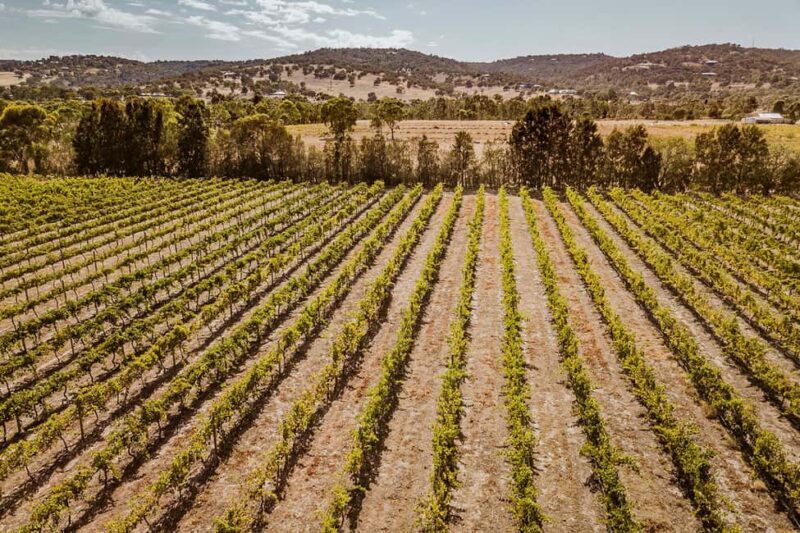 Half-Day Swan Valley Wine Tour with Tastings - From Perth - FAQs