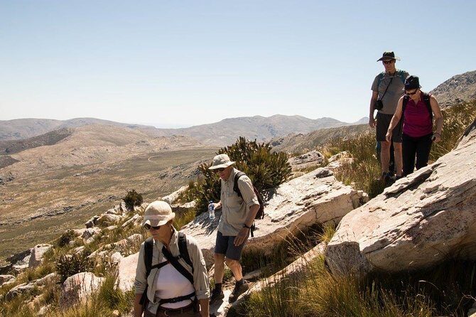 Half-Day Swartberg Pass PRIVATE Tour (including lunch & transfer - Oudtshoorn) - Key Points