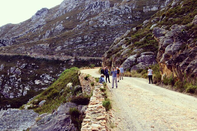 Half-Day Swartberg Pass PRIVATE Tour (including lunch & transfer - Oudtshoorn) - The Summit and the Mountain Trail: A Walk with a View
