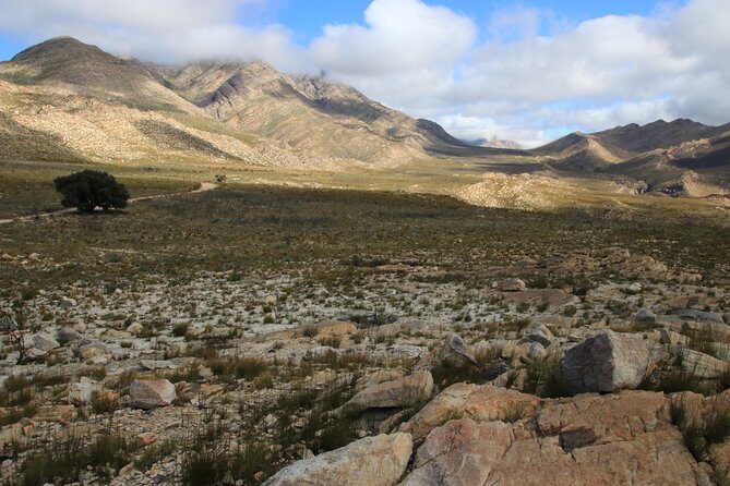 Half-Day Swartberg Pass PRIVATE Tour (including lunch & transfer - Oudtshoorn) - Practical Details and Logistics