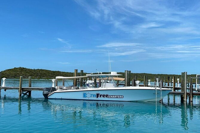 half-day-swimming-pigs-on-rose-island-snorkeling-and-lunch