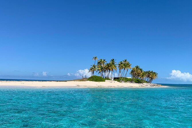 half-day-swimming-pigs-on-rose-island-snorkeling-and-lunch