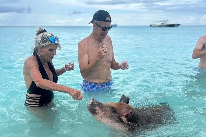 half-day-swimming-pigs-on-rose-island-snorkeling-and-lunch
