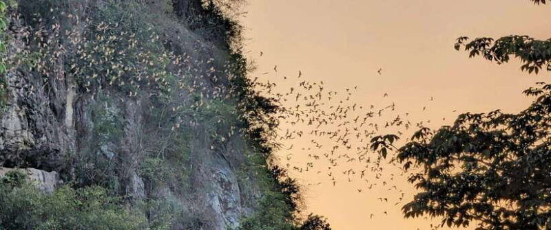 half-day-swing-bridge-bamboo-train-batcave-killing-cave