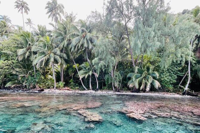 Half day Tahiti Peninsula and Teahupoo boat tour (shared boat) - Exploring the Remote Fenua Aihere