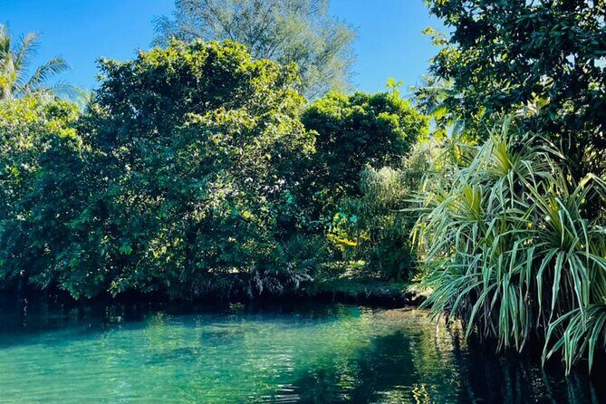 Half day Tahiti Peninsula and Teahupoo boat tour (shared boat) - Authentic, Family-Run Vibe & Local Insights