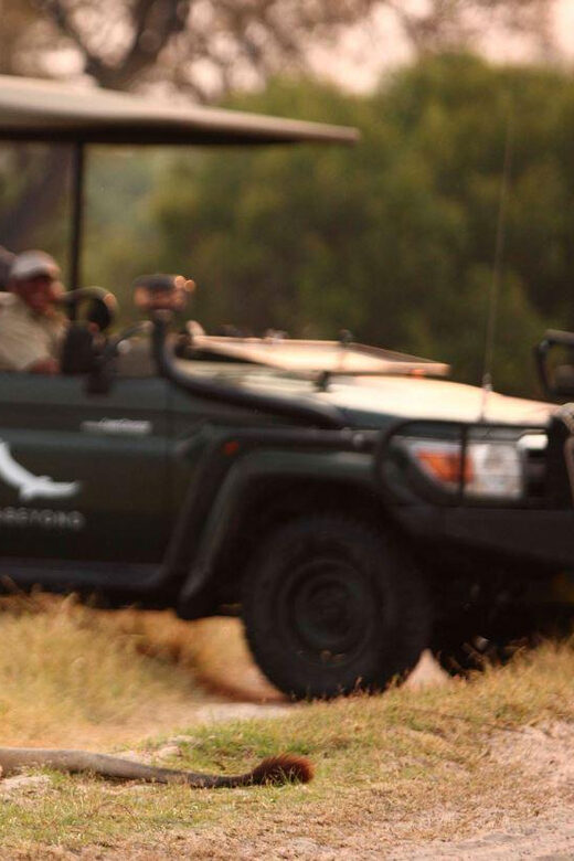 Half Day Tala Game Reserve & Natal Lion Park from Durban - Final Thoughts